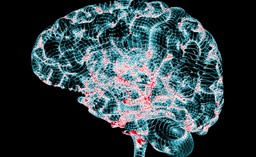 Rozbijając zmodyfikowane białka, można potencjalnie wyleczyć Alzheimera