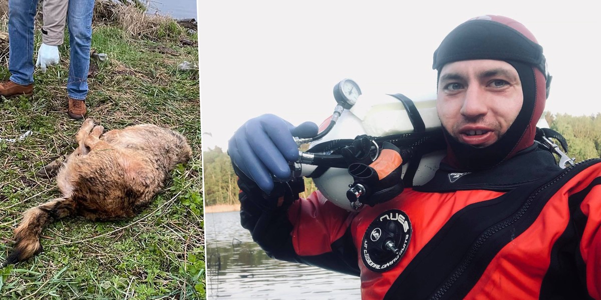 Marcel Korkuś zaoferował nagrodę za wskazanie sprawcy bestialskiego morderstwa psa.