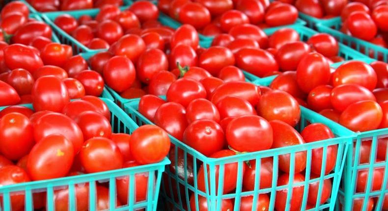 Freshly picked tomatoes (Wowplus)