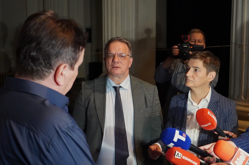 Dejan Vuk Stanković, Ana Brnabić