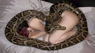 Kobieta spała z wężem w jednym łóżku. Nie uwierzycie, co powiedział jej weterynarz