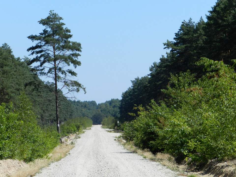 Wielkopolskie - największe atrakcje