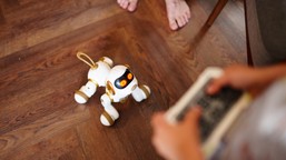 robopsy rosnaca popularnosc zastosowanie