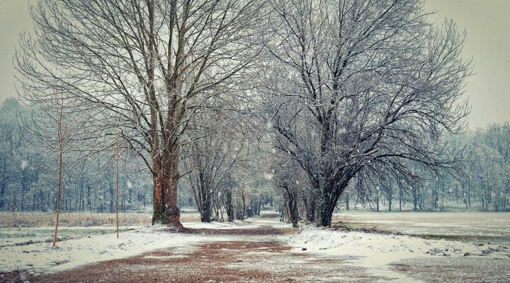 Jöhet az első hó / Illusztráció: Northfoto