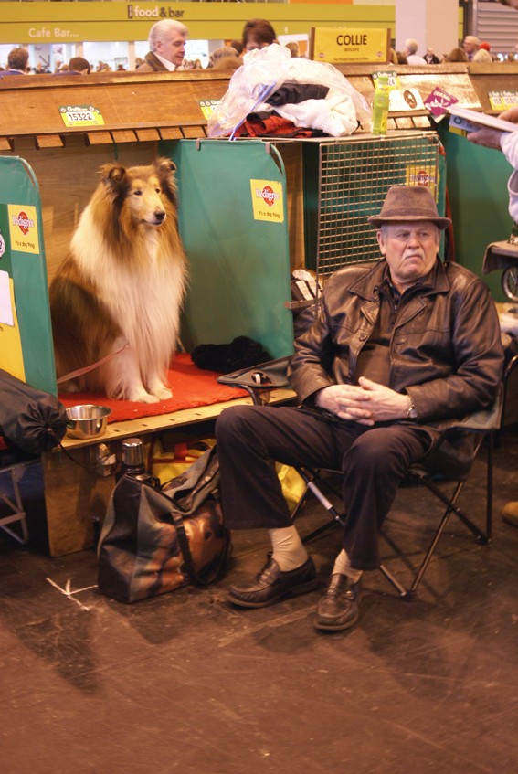 CRUFTS psy i ich właściciele