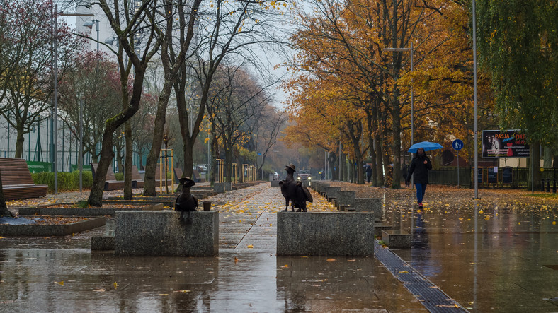 Jesień w Polsce czasami pokaże również swoje pochmurne i deszczowe oblicze
