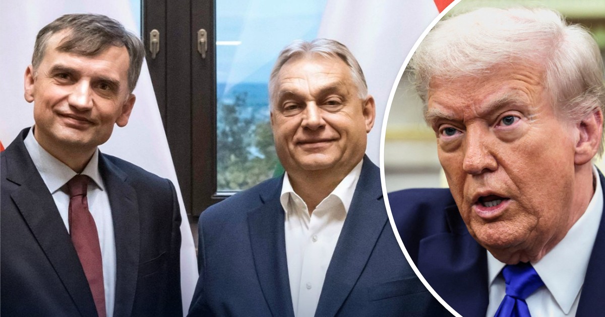 Ziobro ma już zdjęcie z Orbanem. Spytaliśmy w PiS, czy liczą na pomoc Trumpa