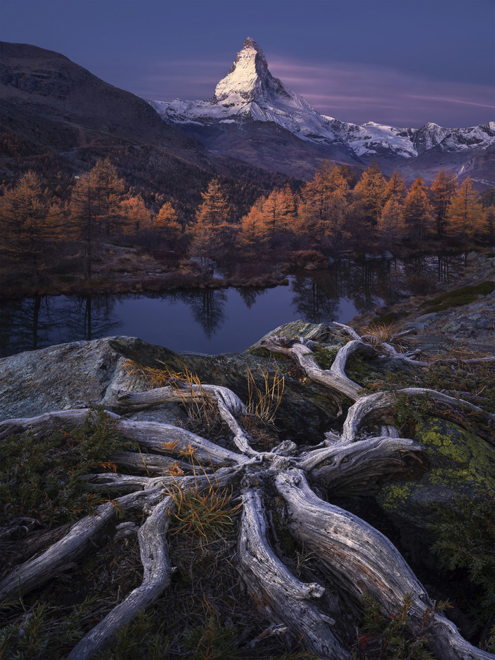 "Korzenie wieczności" (Zermatt, Szwajcaria) - Isabella Tabacchi