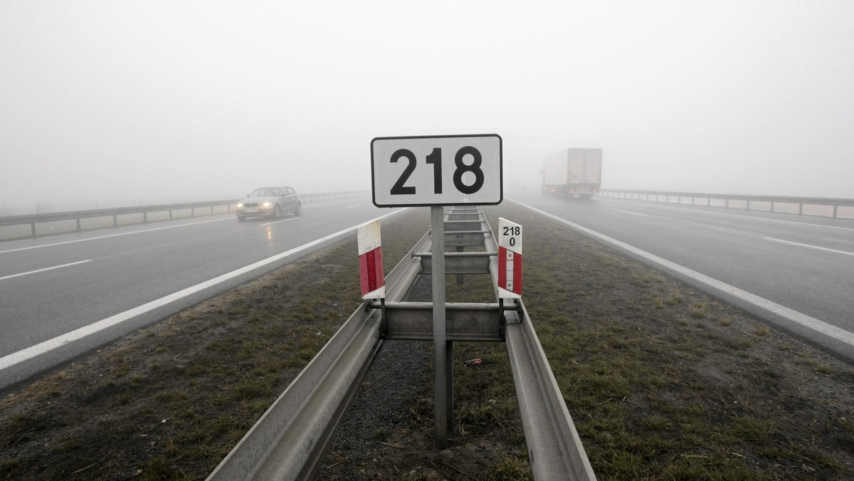 "Dziennik Polski": Kobieta, która, ratując się przed spadającym na jezdnię drzewem, wjechała w inne, żąda odszkodowania. Prawnicy GDDKiA twierdzą, że kobieta sama jest sobie winna, bo... jechała w deszczu.