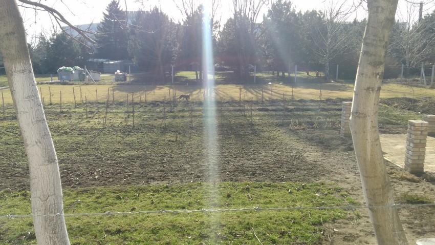 Licisa snimljena jutros kod sportslog centra "Jezero"