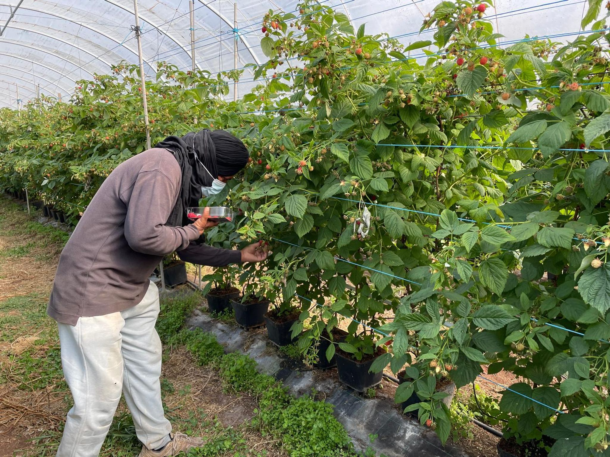 Portugal: Polizisten hielten Migranten in Sklaverei