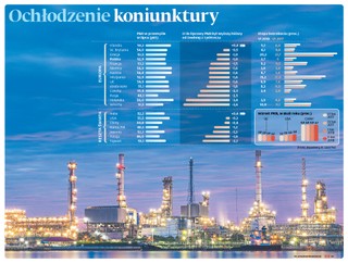 Ochłodzenie koniunktury. Lipiec przyniósł znaczący spadek aktywności krajowego przemysłu