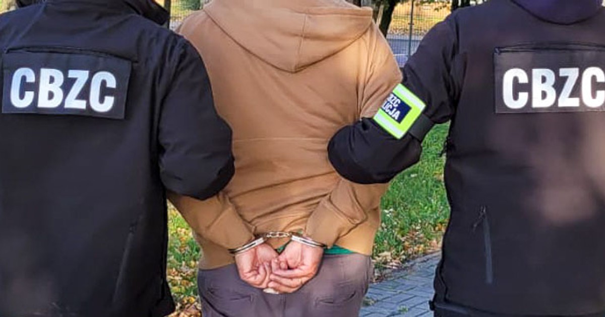 Wielka akcja policji przeciwko podejrzanym o pedofilię. Ponad 100 osób zatrzymanych