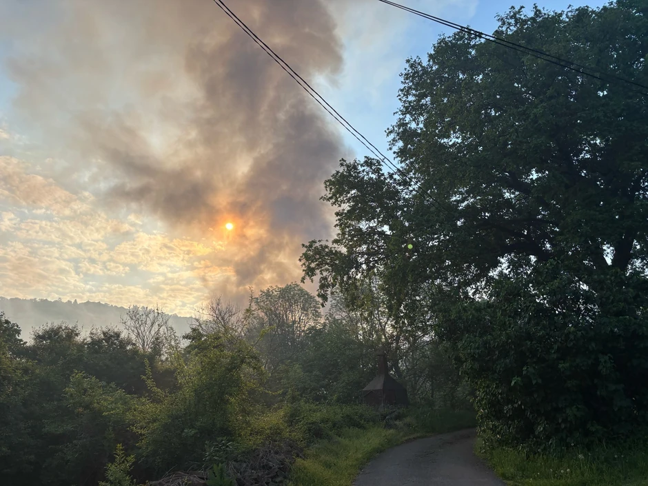 Požar na Košutnjaku