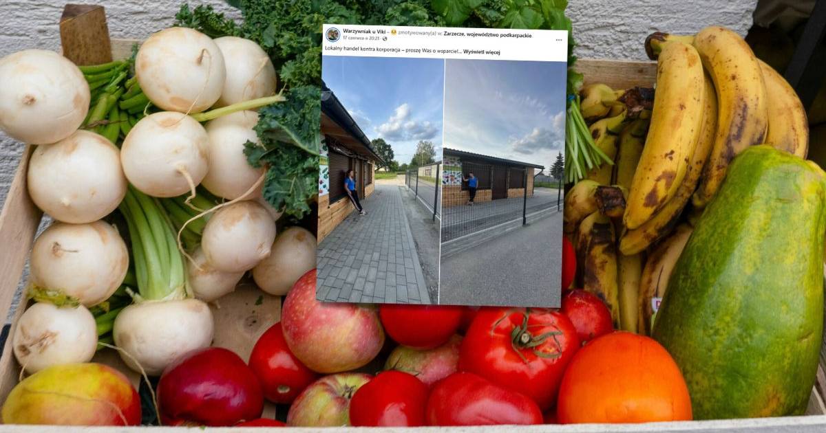 Postawili kratę przed wejściem do warzywniaka. Właścicielka apeluje o pomoc