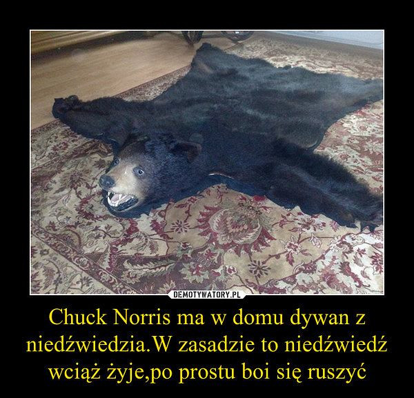 Chuck Norris kończy 80 lat - najlepsze memy