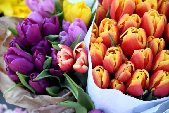 OSMI MART U BROJKAMA: Žene rade "dve smene", zarađuju manje, a kompanije koje one vode su profitabilnije