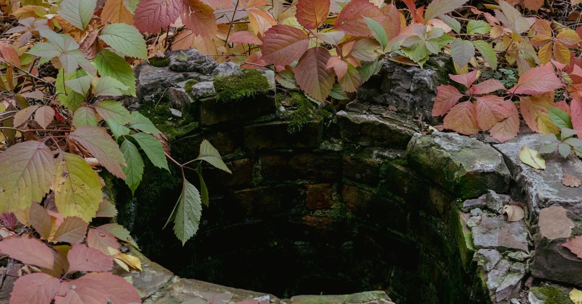 Zgłosisz się dobrowolnie? Może Cię ominąć kara 60 000 zł