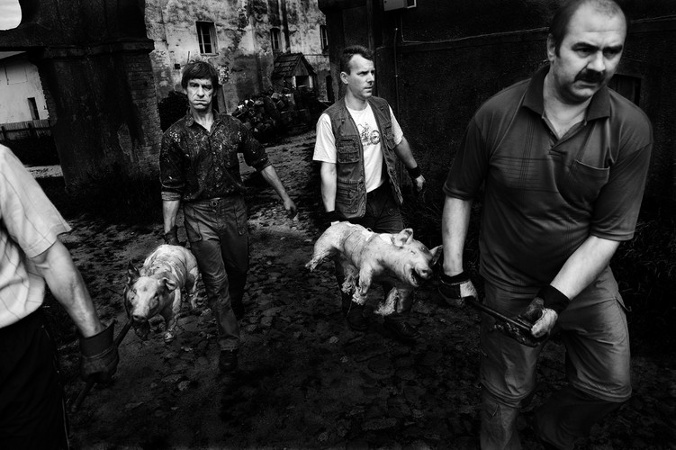 W Centrum Sztuki Współczesnej w Warszawie możemy oglądać nowy cykl fotografii Tomasza Tomaszewskiego 'Rzut beretem'