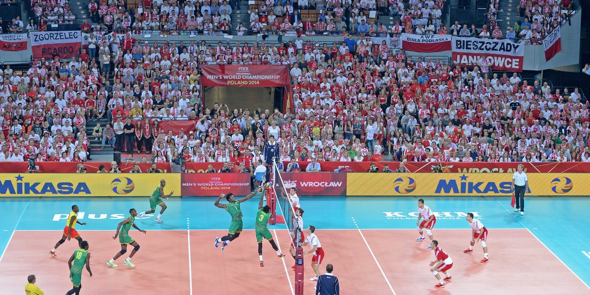 Polska vs Kamerun