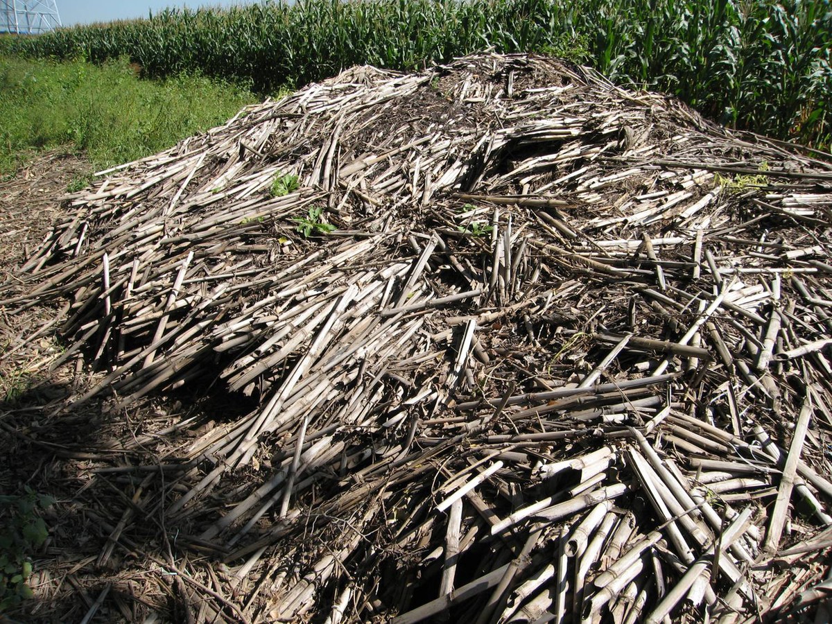 Według założeń w zakładzie w Trzciannem ma być produkowanych około 4,5 tys. ton brykietu lub pelletu rocznie z około 5 tys. ton suchej biomasy.