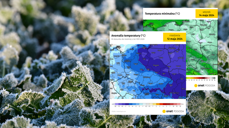 Przymrozki już niedługo znów zaatakują Polskę (screen: meteologix.com)