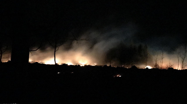 Több órán át küzdöttek a lángokkal a tűzoltók, éjfélre sikerült megállítaniuk őket /Fotó: nyugat.hu - Csébits Gergő