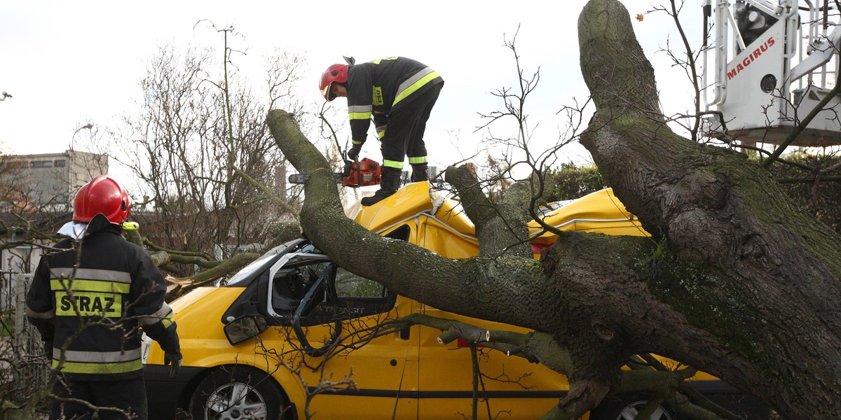 Tragiczny bilans wichury nad Polską