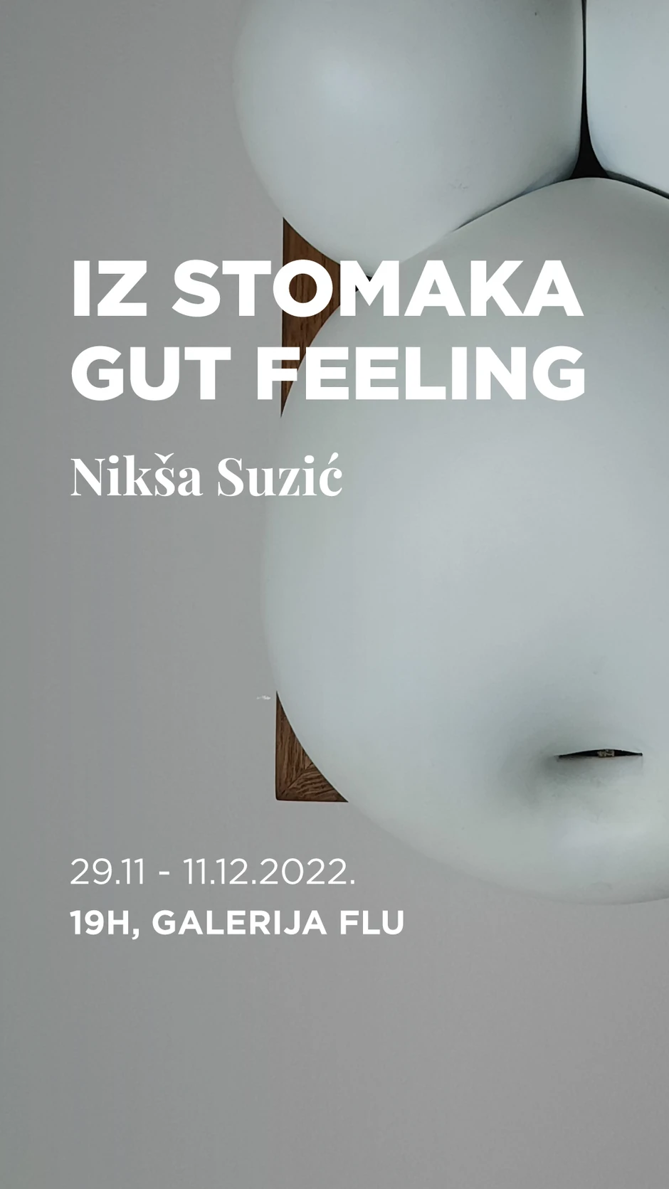 Galerija FLU, izložba "Iz stomaka"