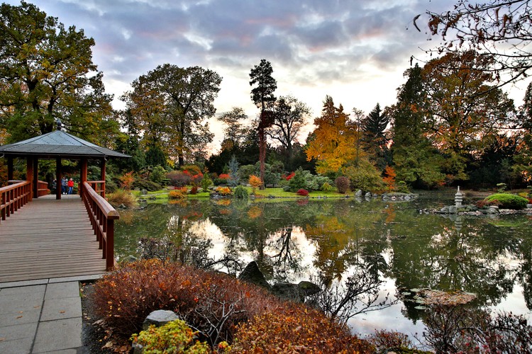 Ogród japoński we Wrocławiu