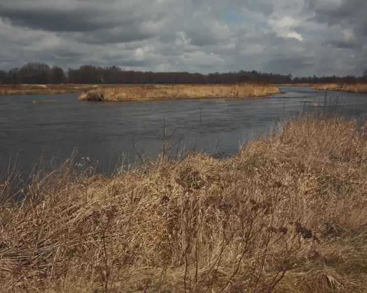 Suche trawy nad Pilicą