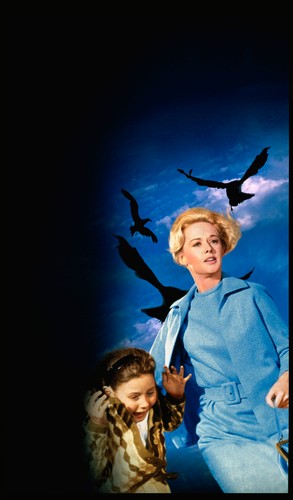 Tippi Hedren w filmie 'Ptaki'