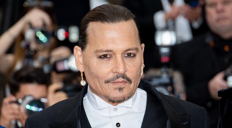 Johnny Depp a vörös szőnyegen