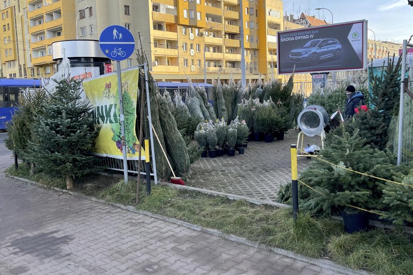 Choinki czekają m.in. przy Jedności Narodowej