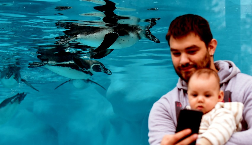 Prvi selfi s pingvinima