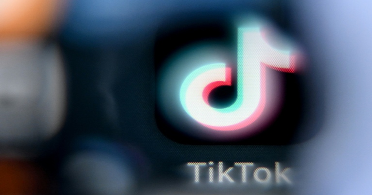 La commission TikTok préconise d'interdire les réseaux sociaux aux moins de 15 ans