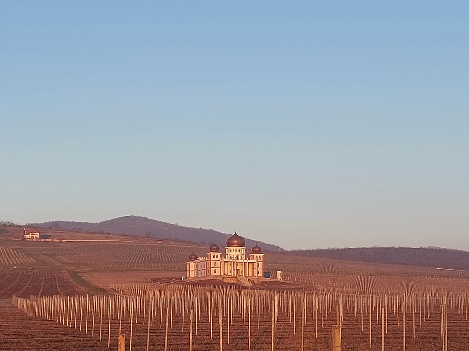 Dvorac Rodoljuba Draškovića