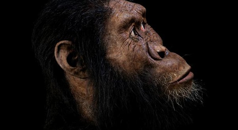 The face of humans as they looked some 3.8 million years ago. (EuroNews)