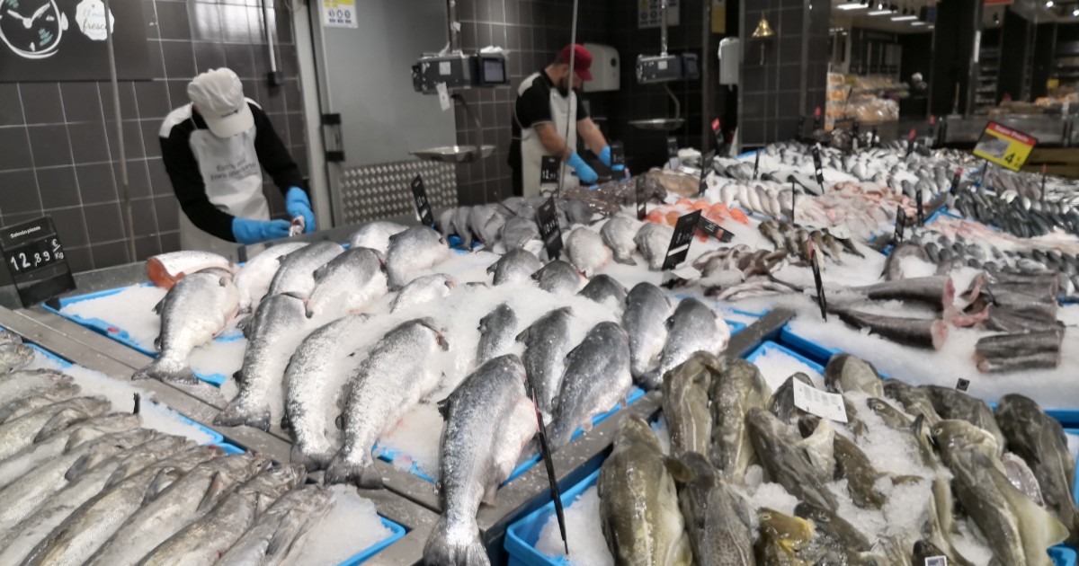 Mozambique's $100m seafood industry crashes as Spanish investor announces exit