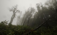 Będzie cieplej, ale od połowy tygodnia silny wiatr w całym kraju. PROGNOZA POGODY