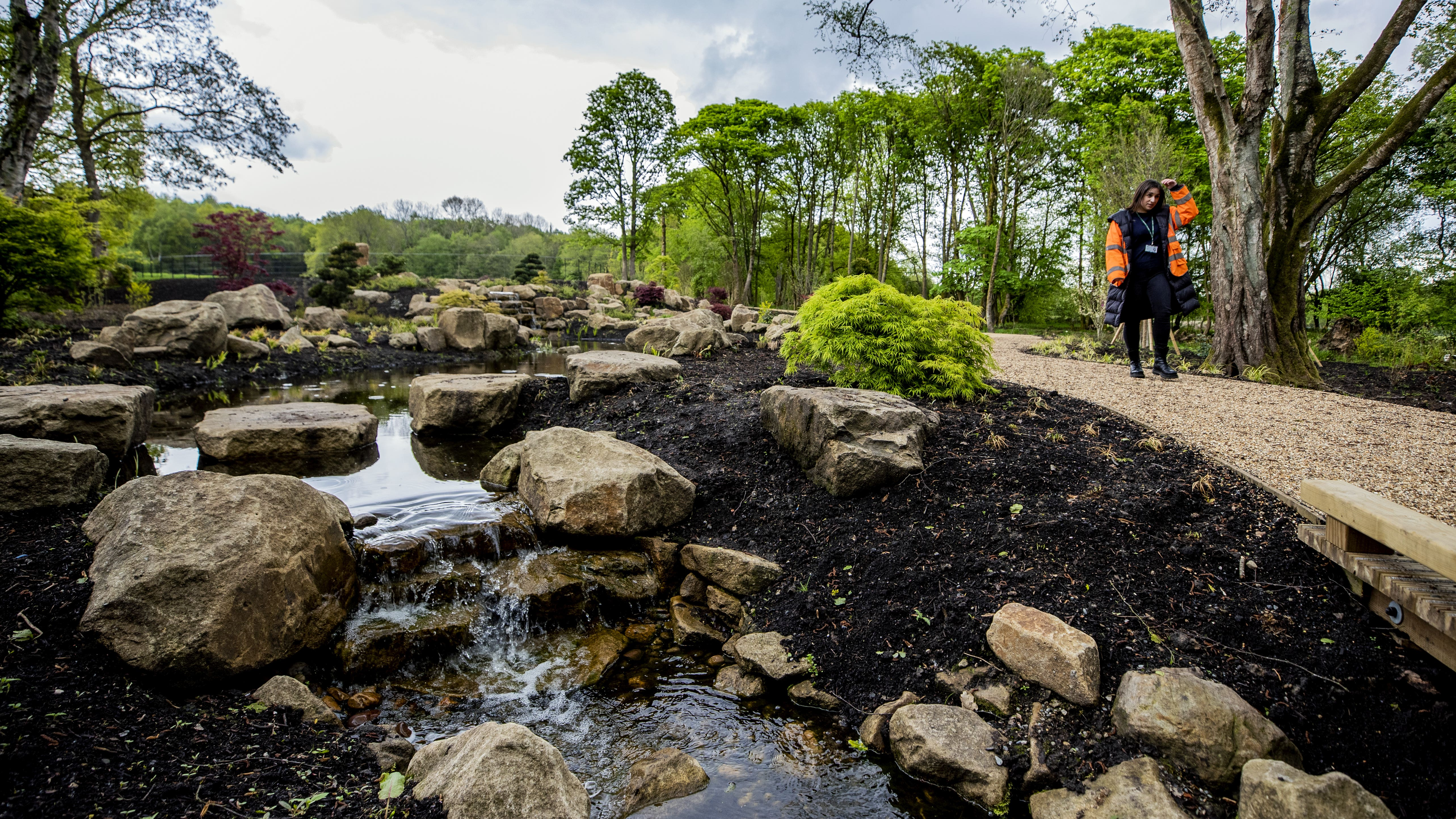 Is your garden ready? RHS warns 34 million gardeners to prepare for water shortages