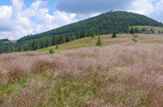 Najpiękniejsze szlaki - Mogielica