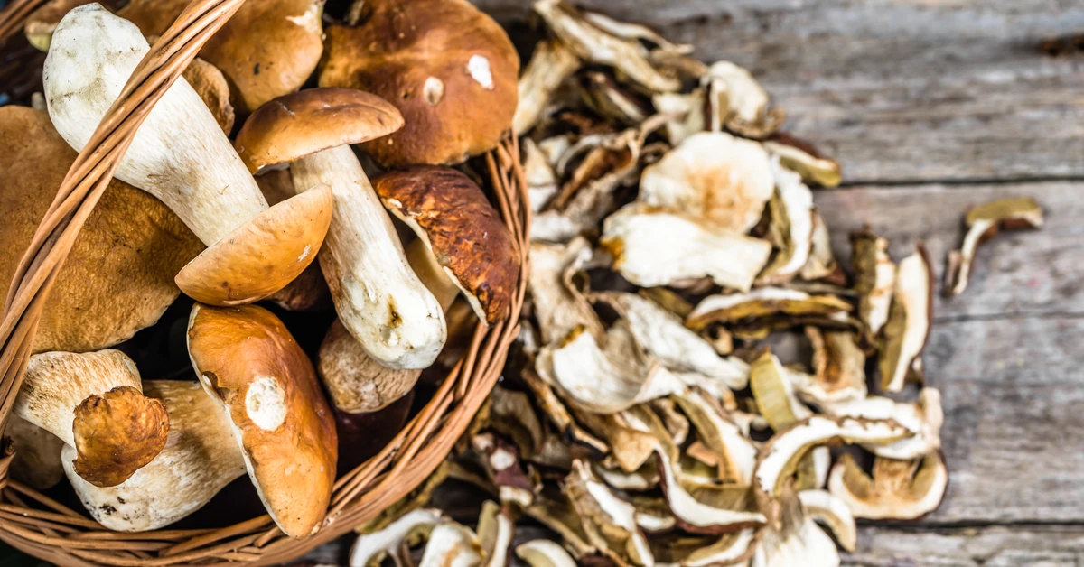 W lasach urodzaj grzybów. Oto genialne, sprawdzone sposoby na suszenie grzybów