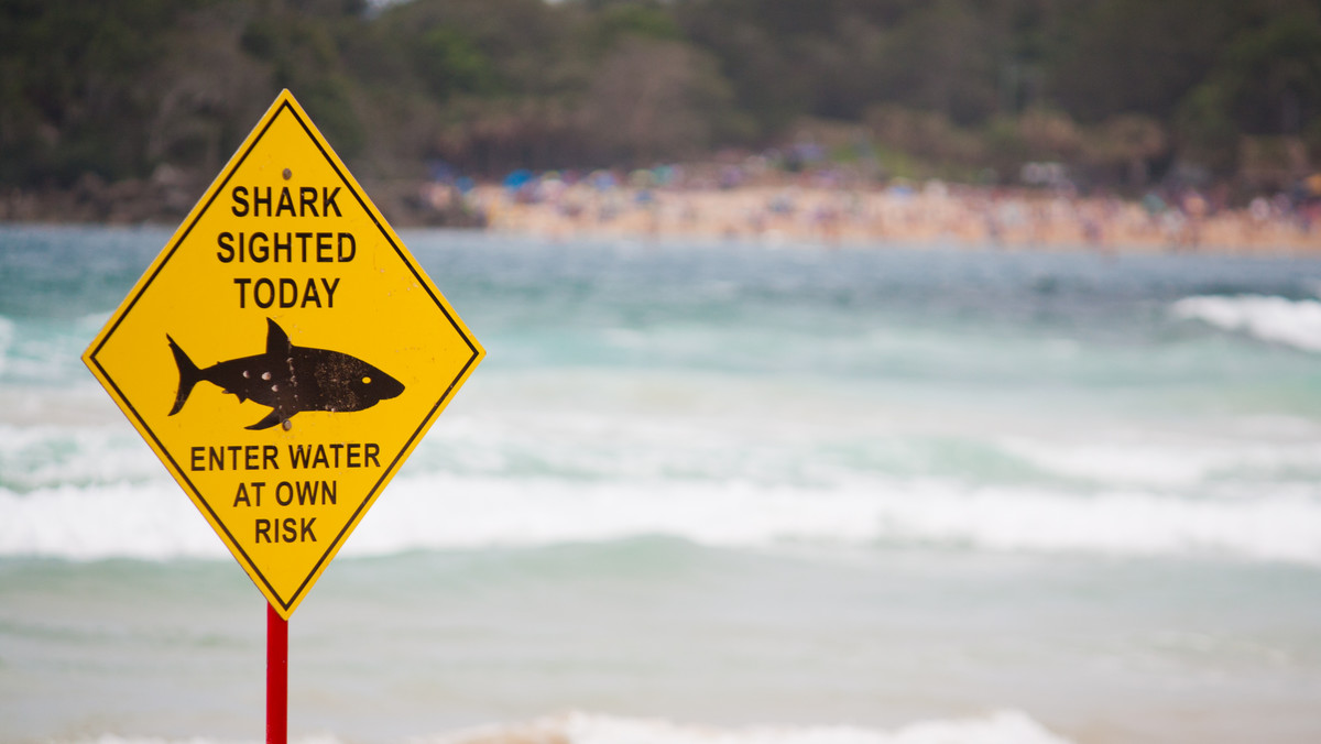 Australia. Tragedia tuż przy plaży. Pierwszy taki atak od 60 lat