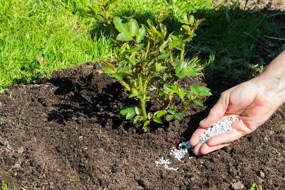 Promist traži institucionalnu proveru: Podnete krivične prijave