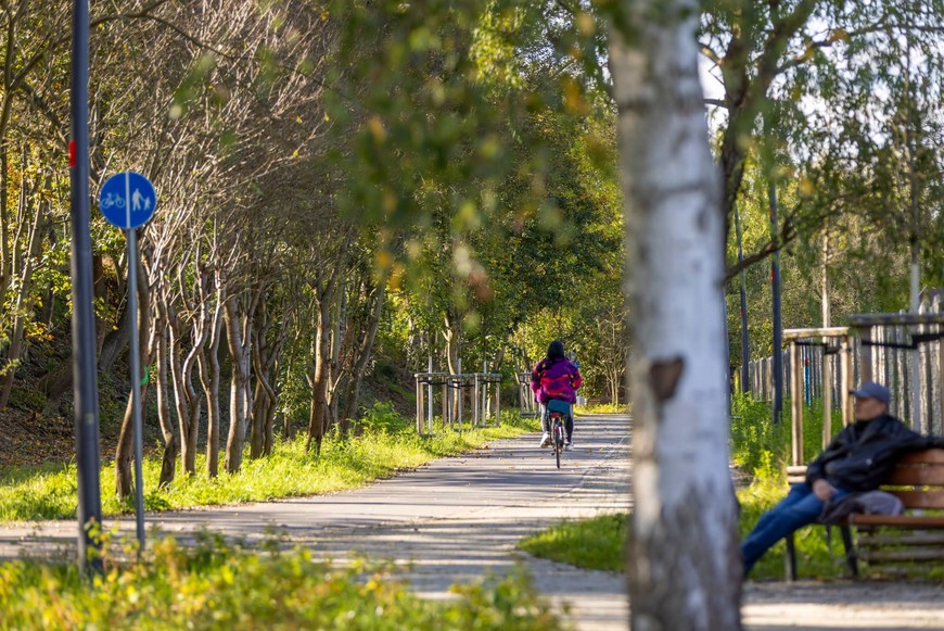 Promenada Krzycka to wyjątkowo urokliwa trasa pieszo-rowerowa