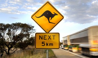 Kryzys energetyczny. Australia przewiduje rekordowe zyski z eksportu węgla i gazu