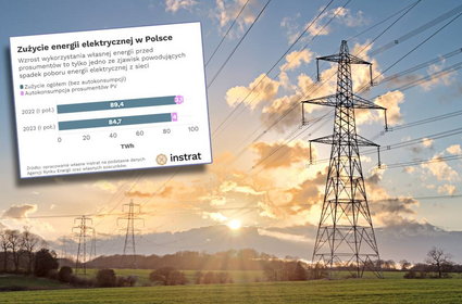 Zaskakujące dane o zużyciu prądu. "Recesja energetyczna"