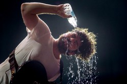 Foals w oku kamer przemysłowych