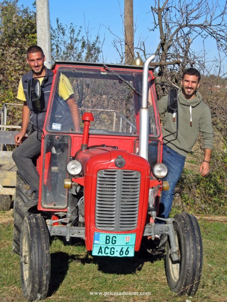 Miloš Jović i Pavle Đorđević